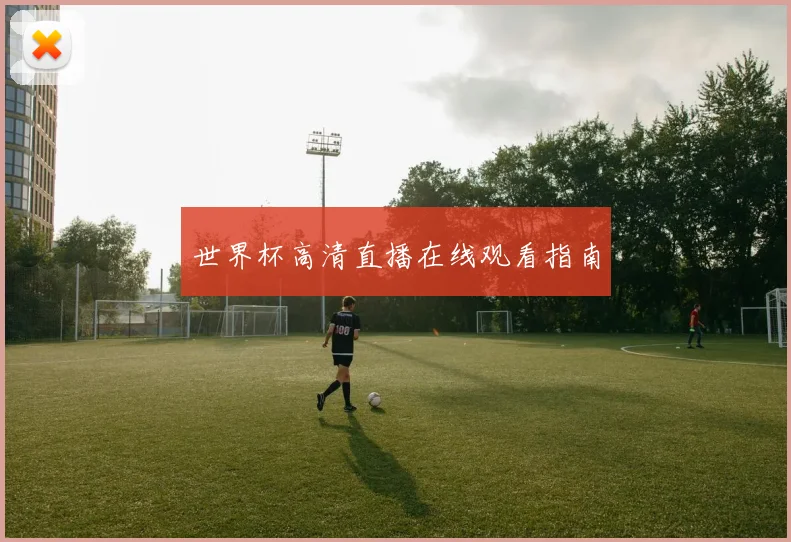 世界杯高清直播在线观看指南