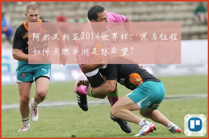 阿尔及利亚2014世界杯：黑马征程如何点燃非洲足球希望？