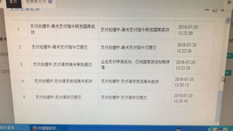 新一代税费电子支付系统 常见问题与解决方案汇总